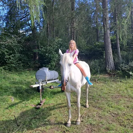 Alloggio per agriturismo Osterbichlerhof Feistritz am Kammersberg