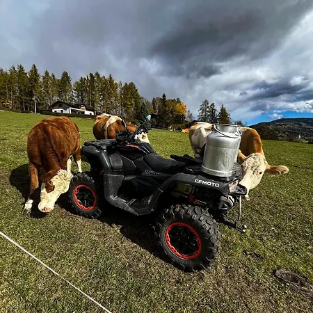 Osterbichlerhof * Feistritz am Kammersberg