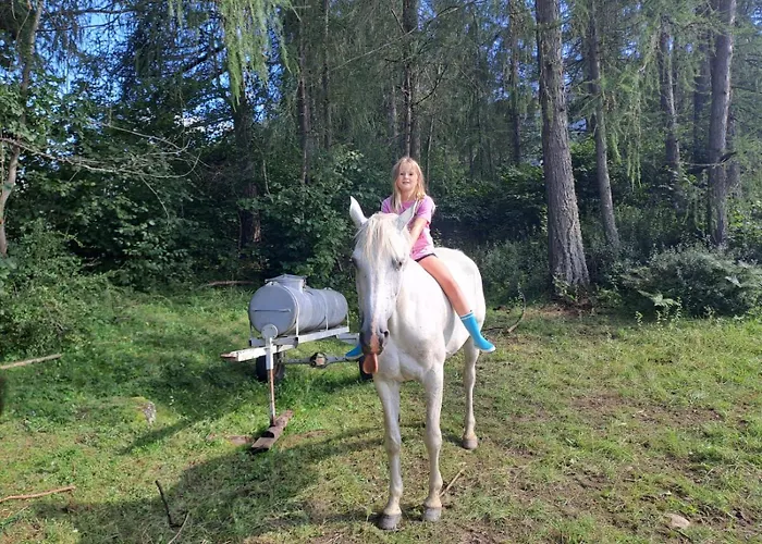 Vakantieboerderij Osterbichlerhof Feistritz am Kammersberg