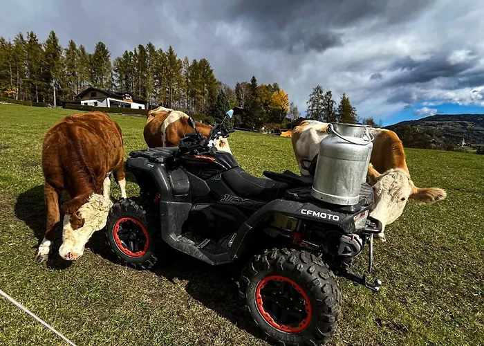 Osterbichlerhof * Feistritz am Kammersberg